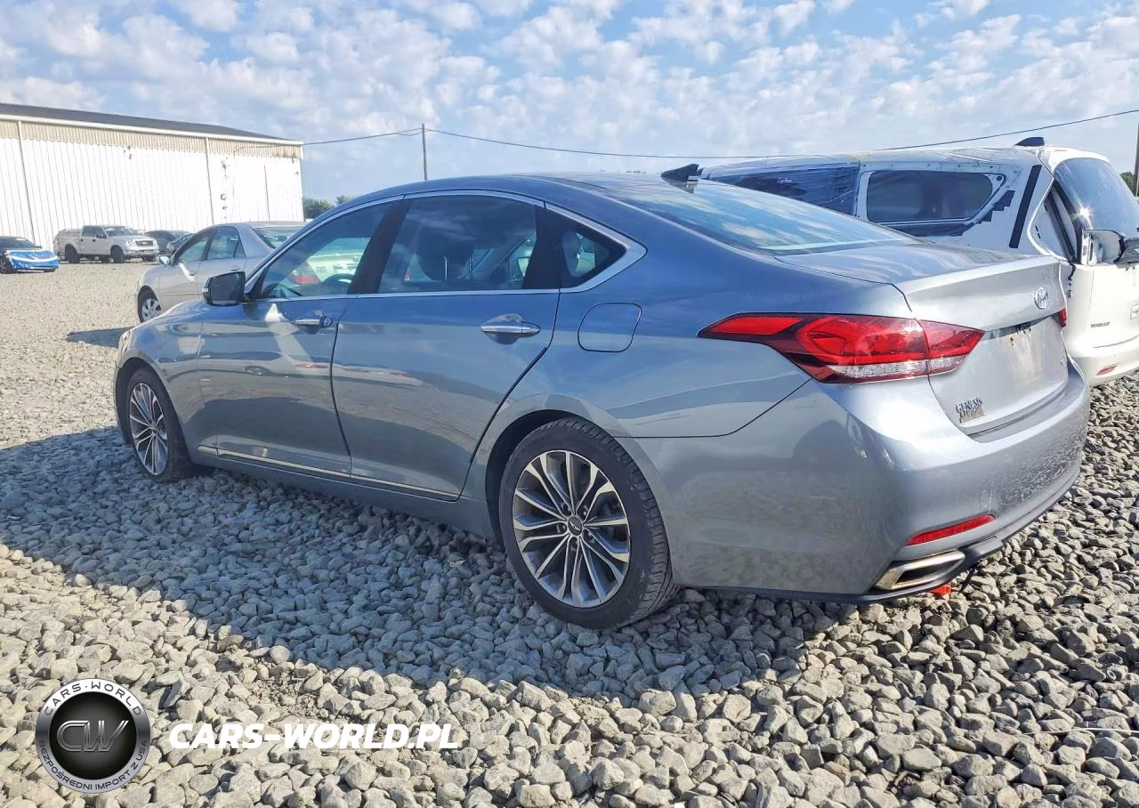2016 Hyundai Genesis 3.8L VIN:KMHGN4JE0GU122065 - 2
