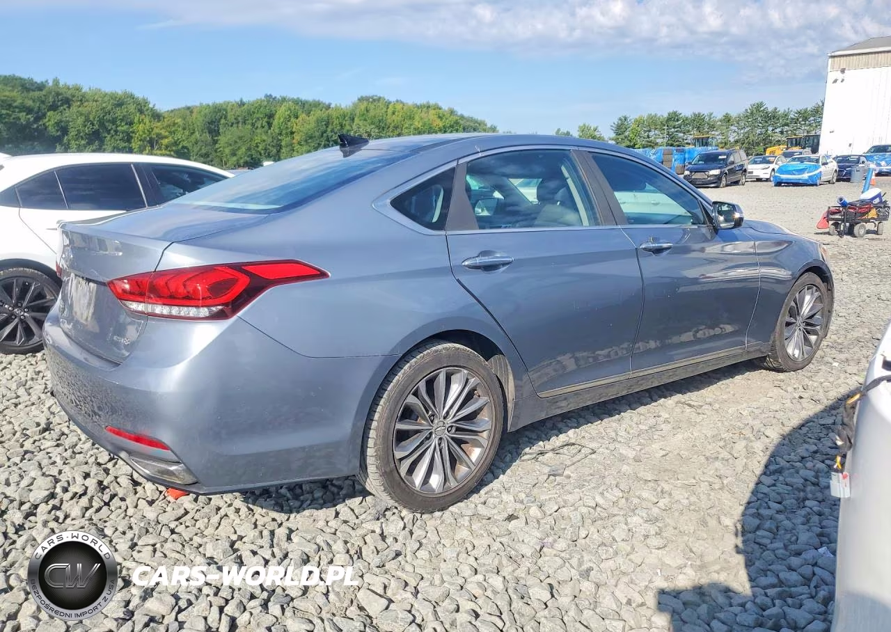 2016 Hyundai Genesis 3.8L VIN:KMHGN4JE0GU122065 - 3