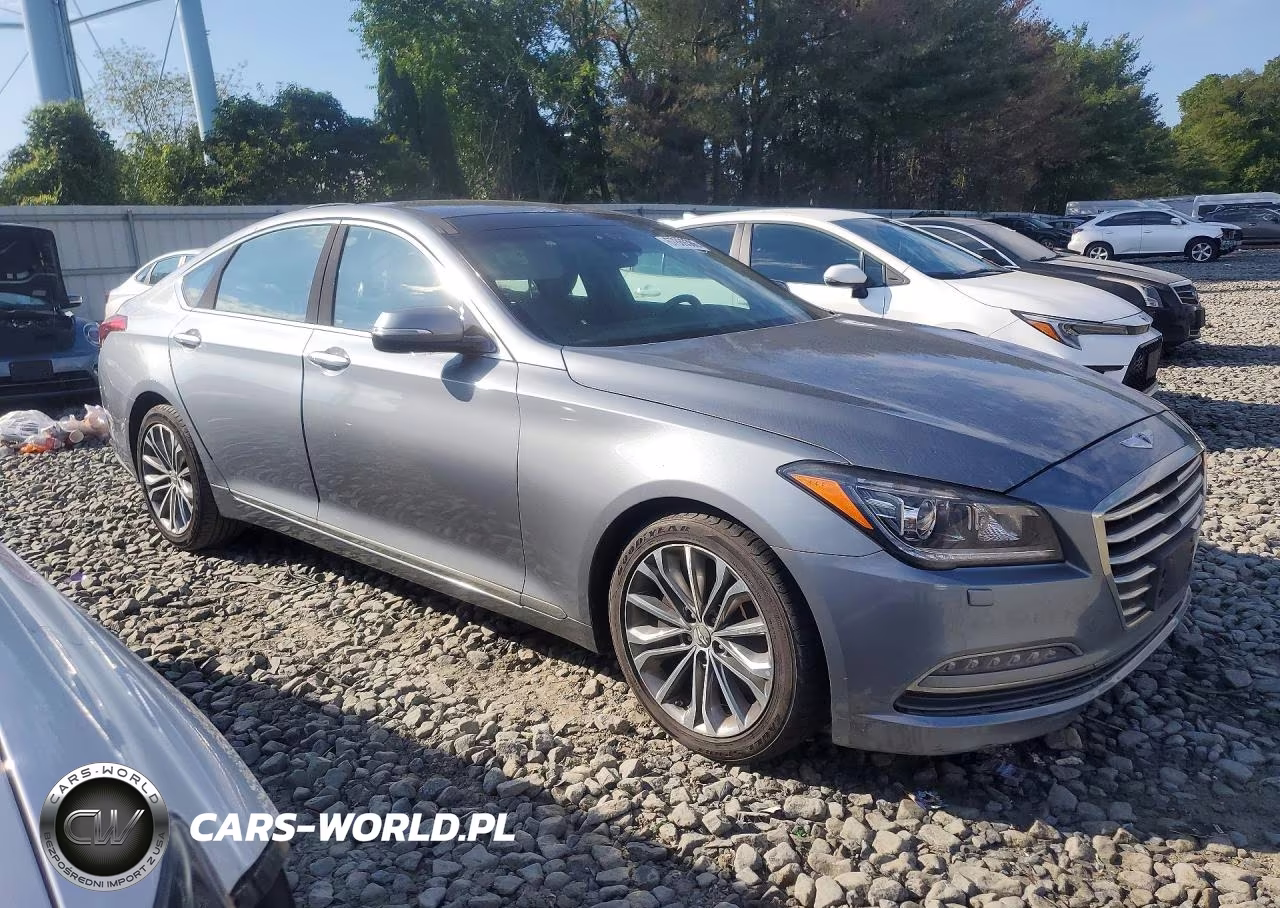 2016 Hyundai Genesis 3.8L VIN:KMHGN4JE0GU122065 - 4