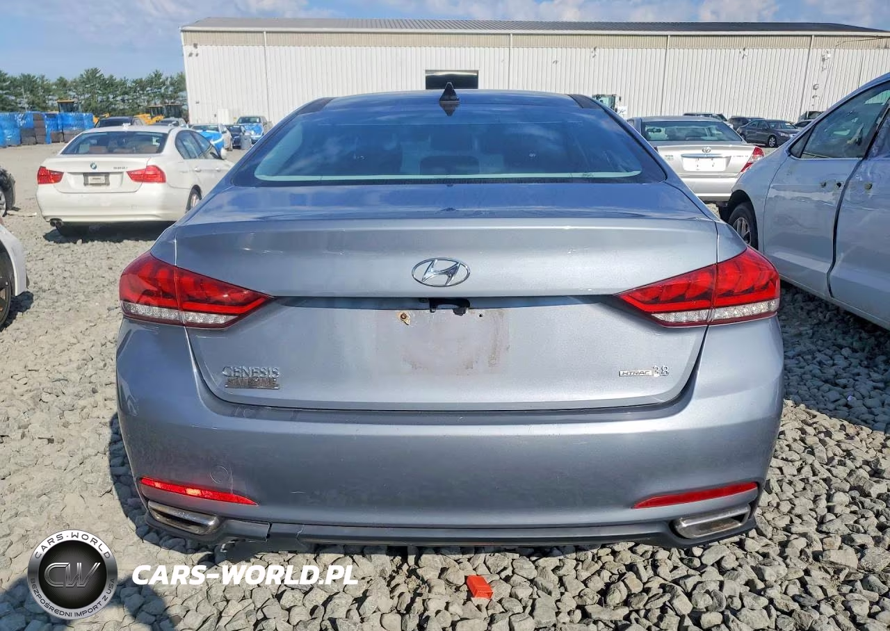 2016 Hyundai Genesis 3.8L VIN:KMHGN4JE0GU122065 - 6