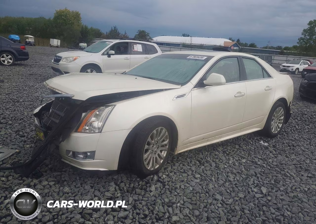 2010 Cadillac Cts Performance Collection