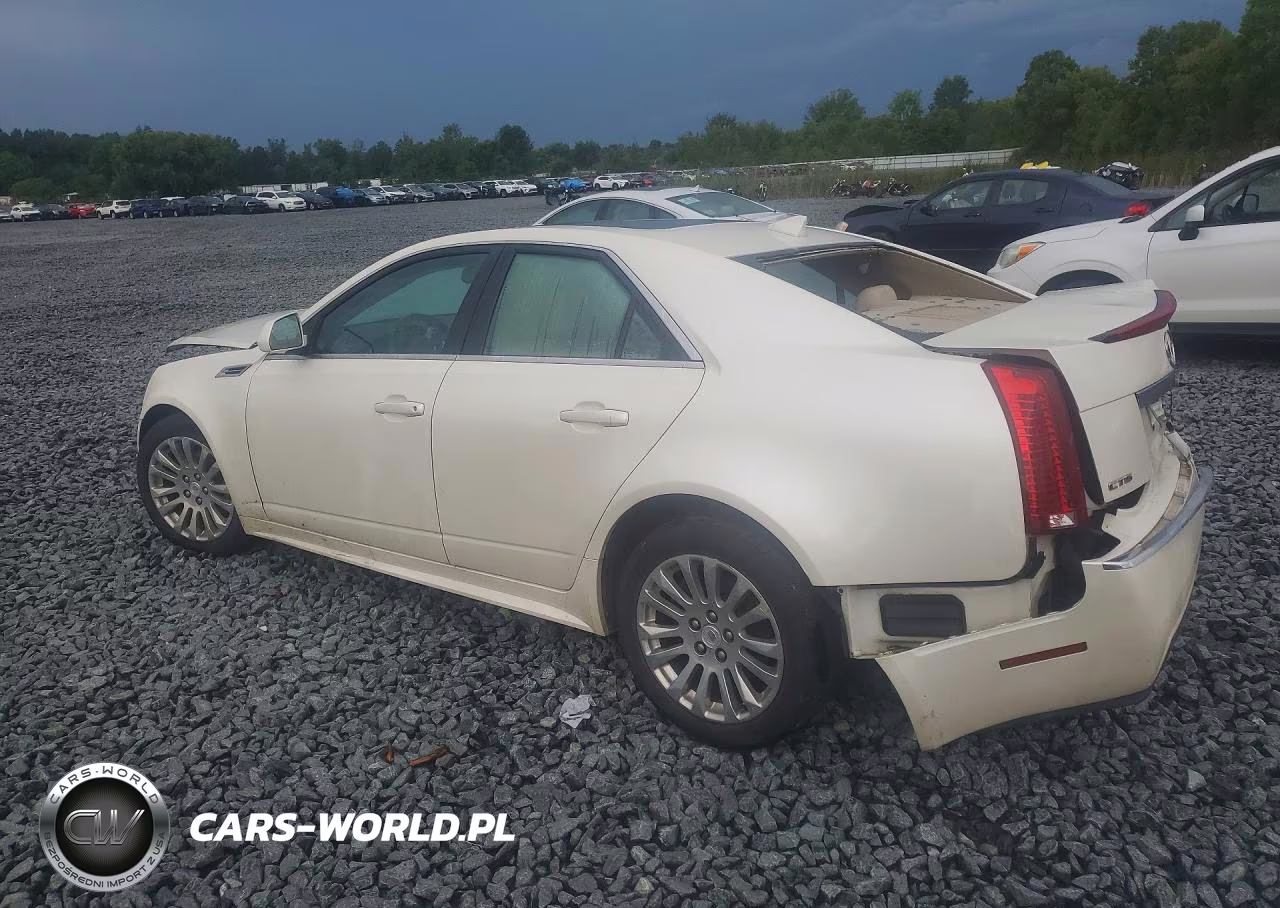 2010 Cadillac Cts Performance Collection VIN:1G6DJ5EG6A0109195 - 2