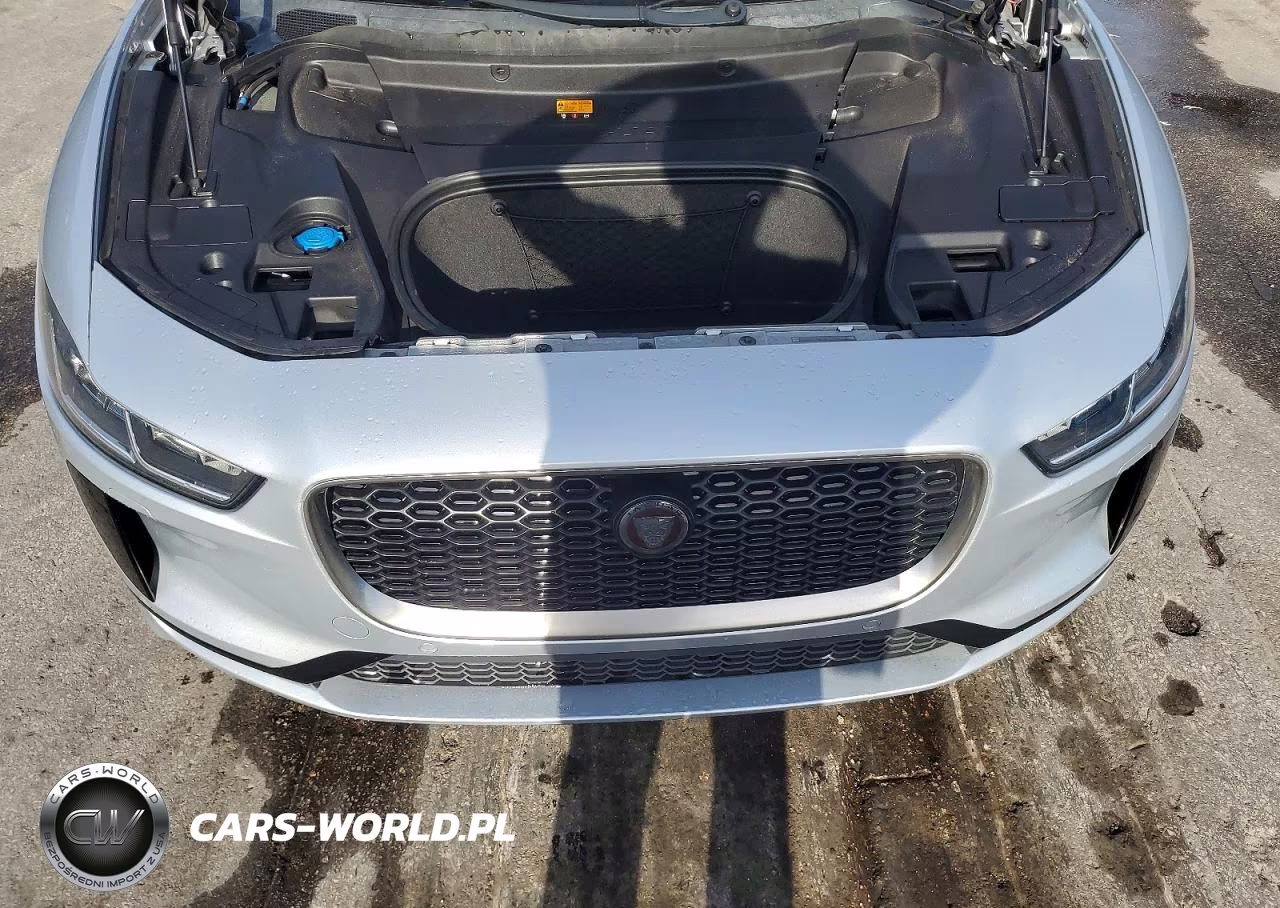 2020 Jaguar I-Pace S VIN:SADHB2S16L1F84893 - 11