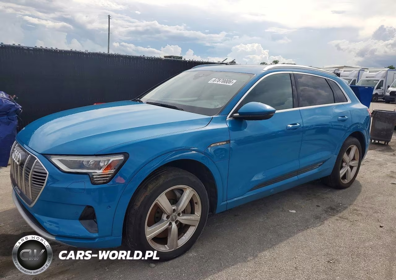 2019 Audi E-Tron Premium Plus – zdjęcie 1 z 13