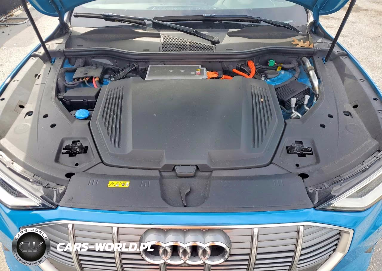 2019 Audi E-Tron Premium Plus VIN:WA1LABGE3KB012765 - 12