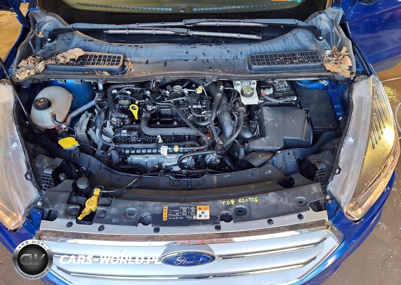2019 Ford Escape Se VIN:1FMCU0GD4KUC09694 - 12