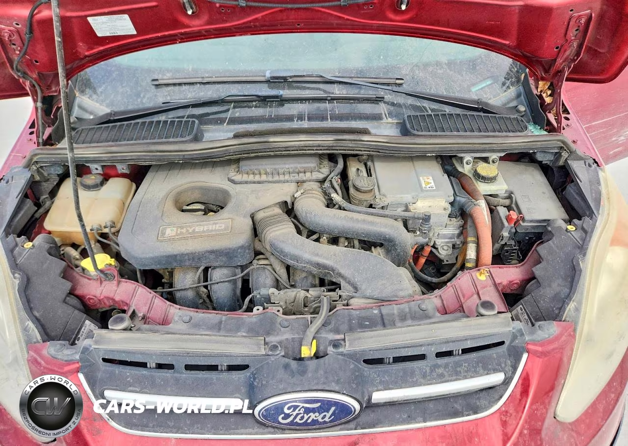 2013 Ford C-Max VIN:1FADP5BU2DL516025 - 12