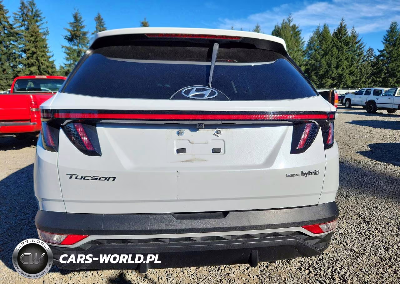 2023 Hyundai Tucson Sel Convenience VIN:KM8JFCA11PU112283 - 6