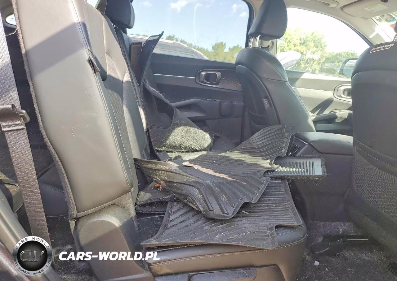 2025 Kia Sorento Ex VIN:5XYRHDJF1SG366072 - 11