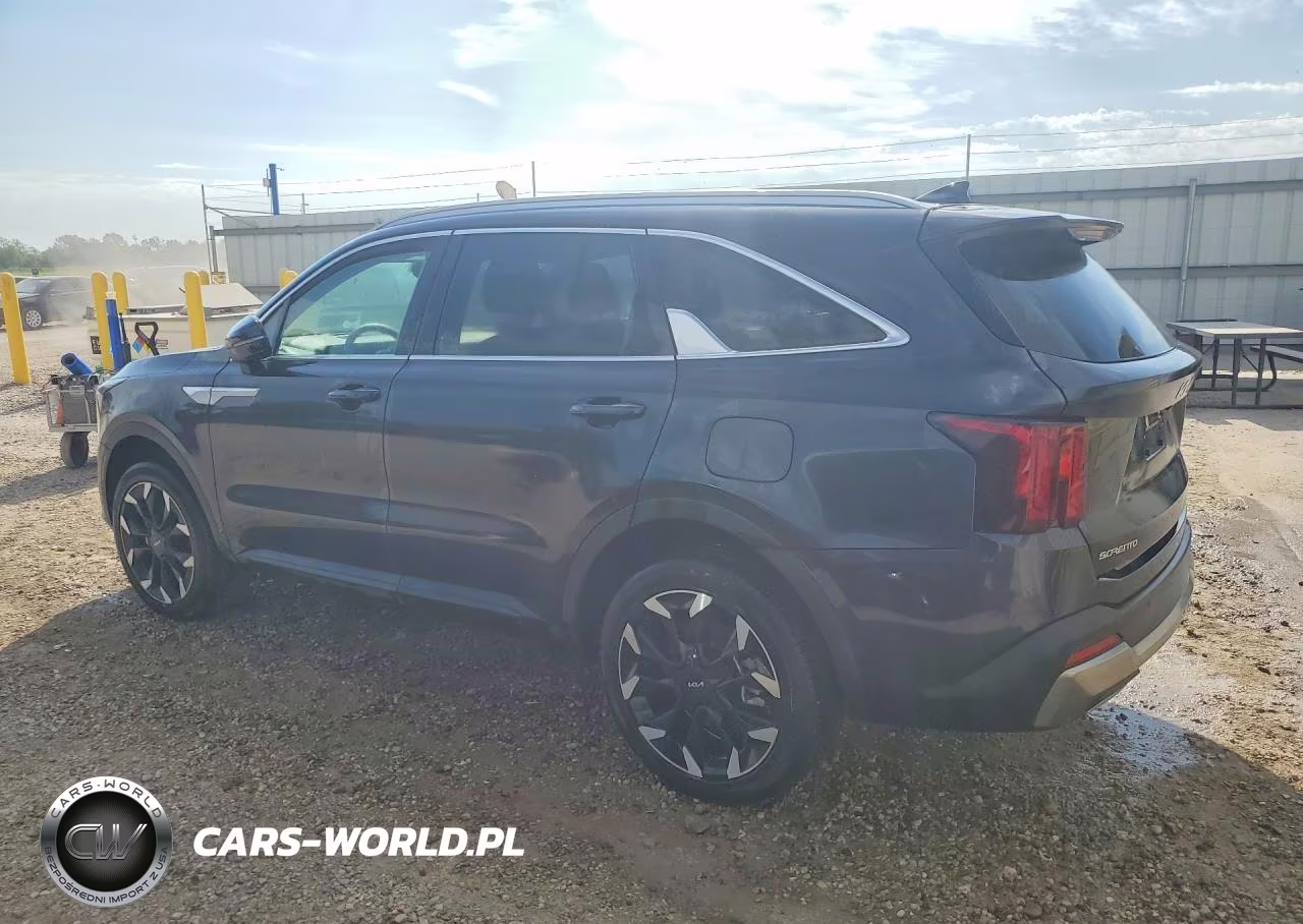 2025 Kia Sorento Ex VIN:5XYRHDJF1SG366072 - 2