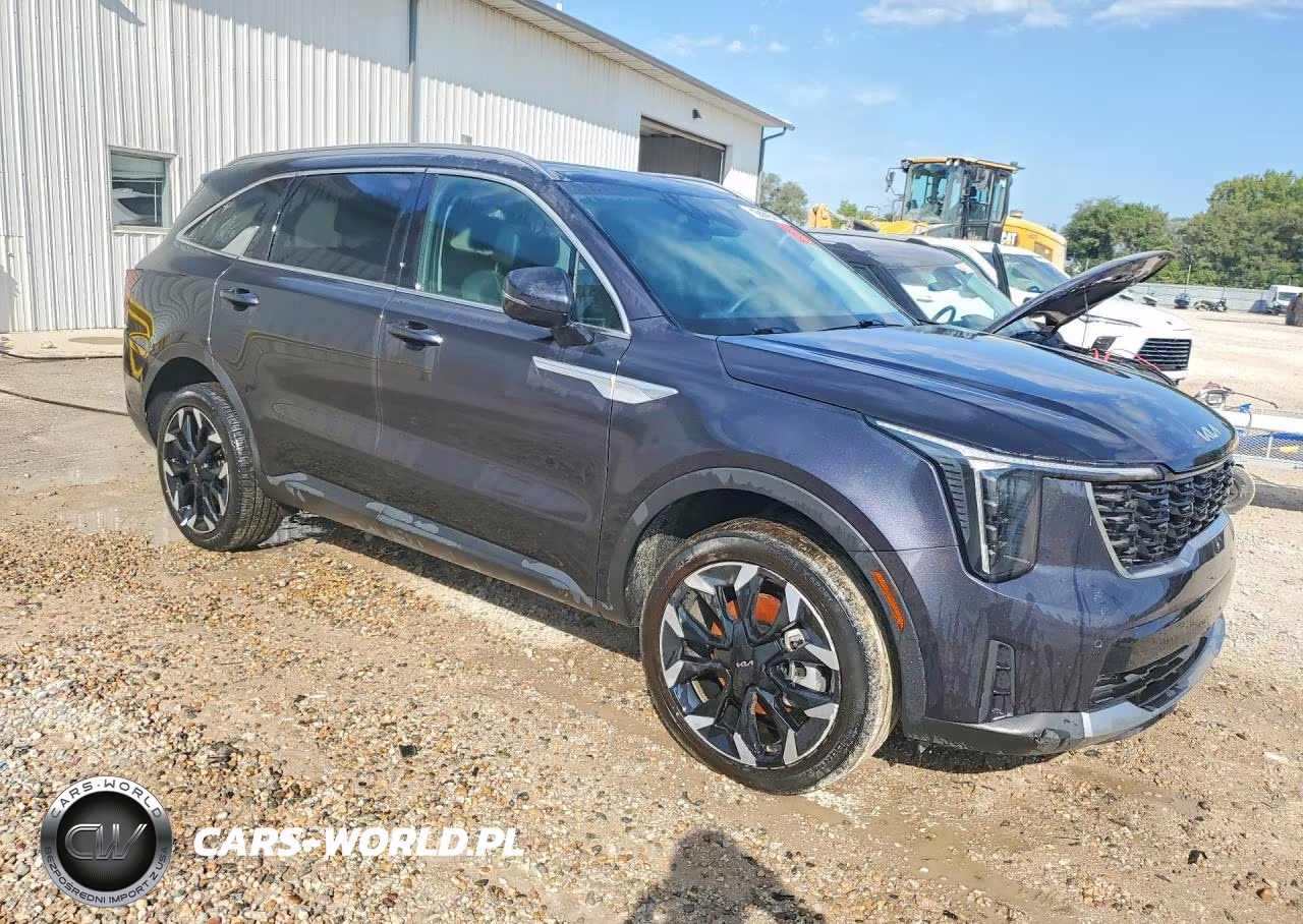 2025 Kia Sorento Ex VIN:5XYRHDJF1SG366072 - 4