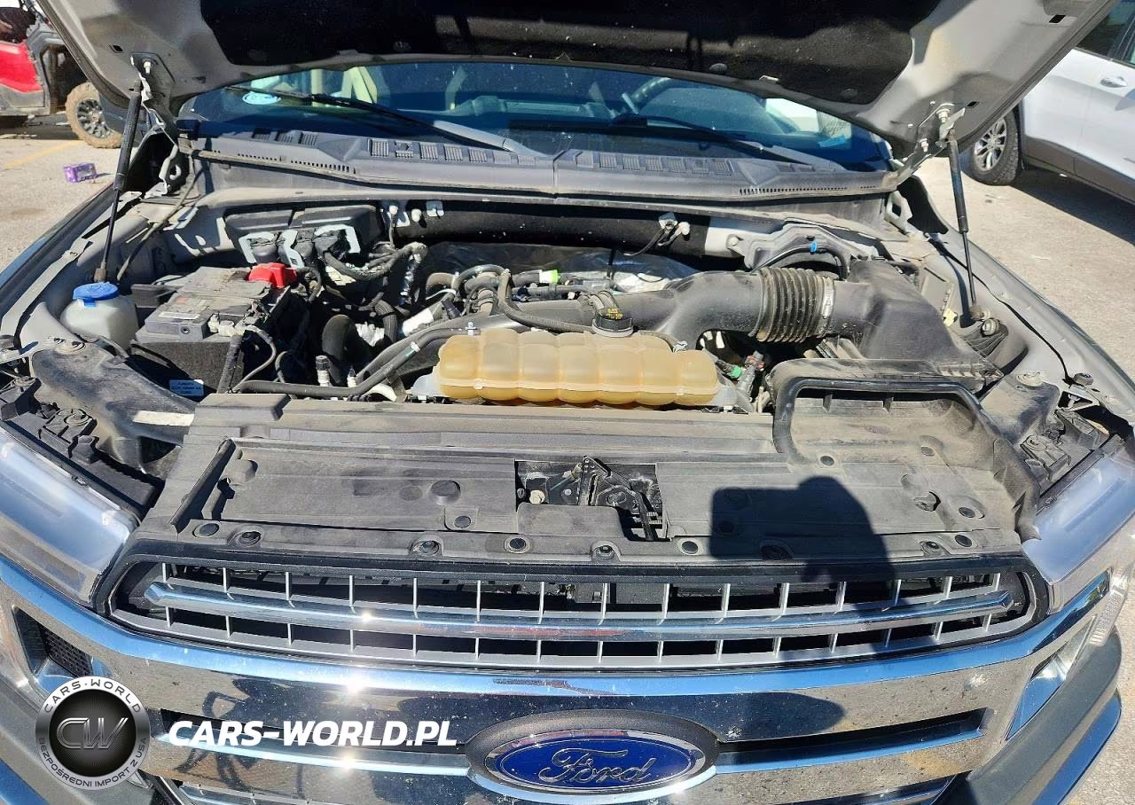 2019 Ford F150 Supercrew VIN:1FTEW1EP0KKE67569 - 11