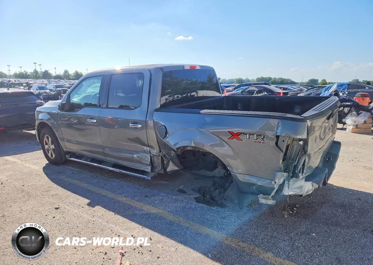 2019 Ford F150 Supercrew VIN:1FTEW1EP0KKE67569 - 2