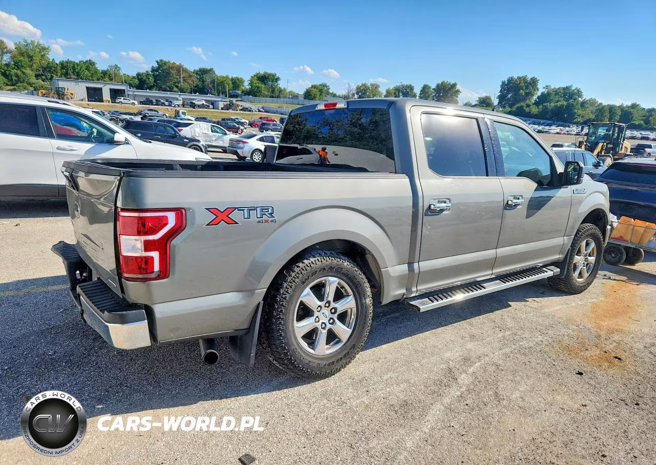 2019 Ford F150 Supercrew VIN:1FTEW1EP0KKE67569 - 3
