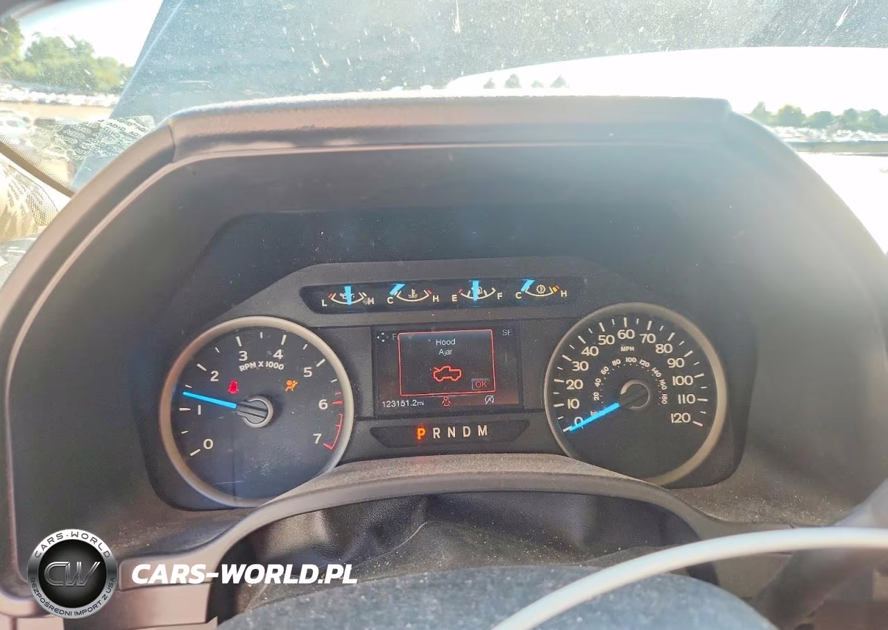 2019 Ford F150 Supercrew VIN:1FTEW1EP0KKE67569 - 9