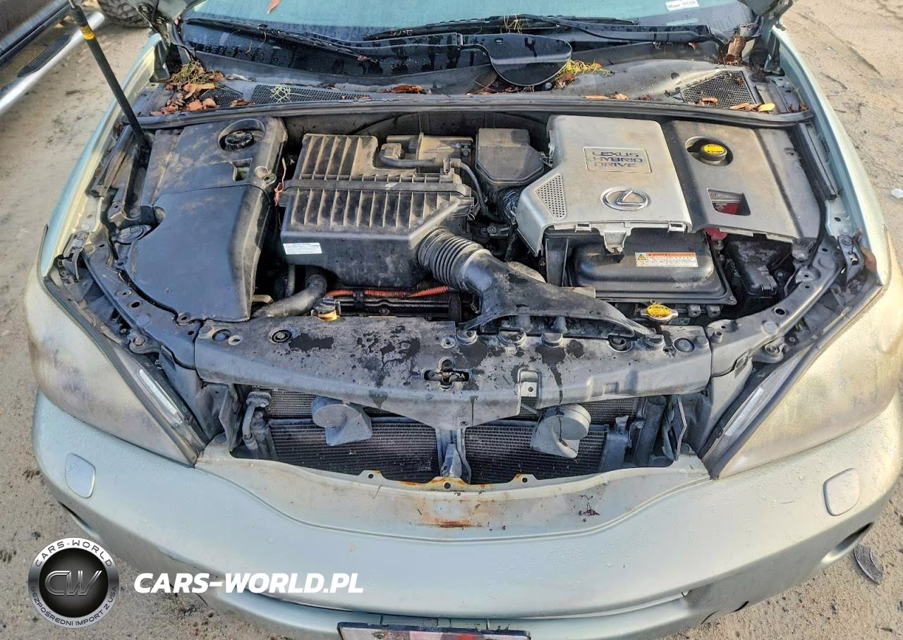 2008 Lexus Rx 400H VIN:JTJGW31U482007269 - 12