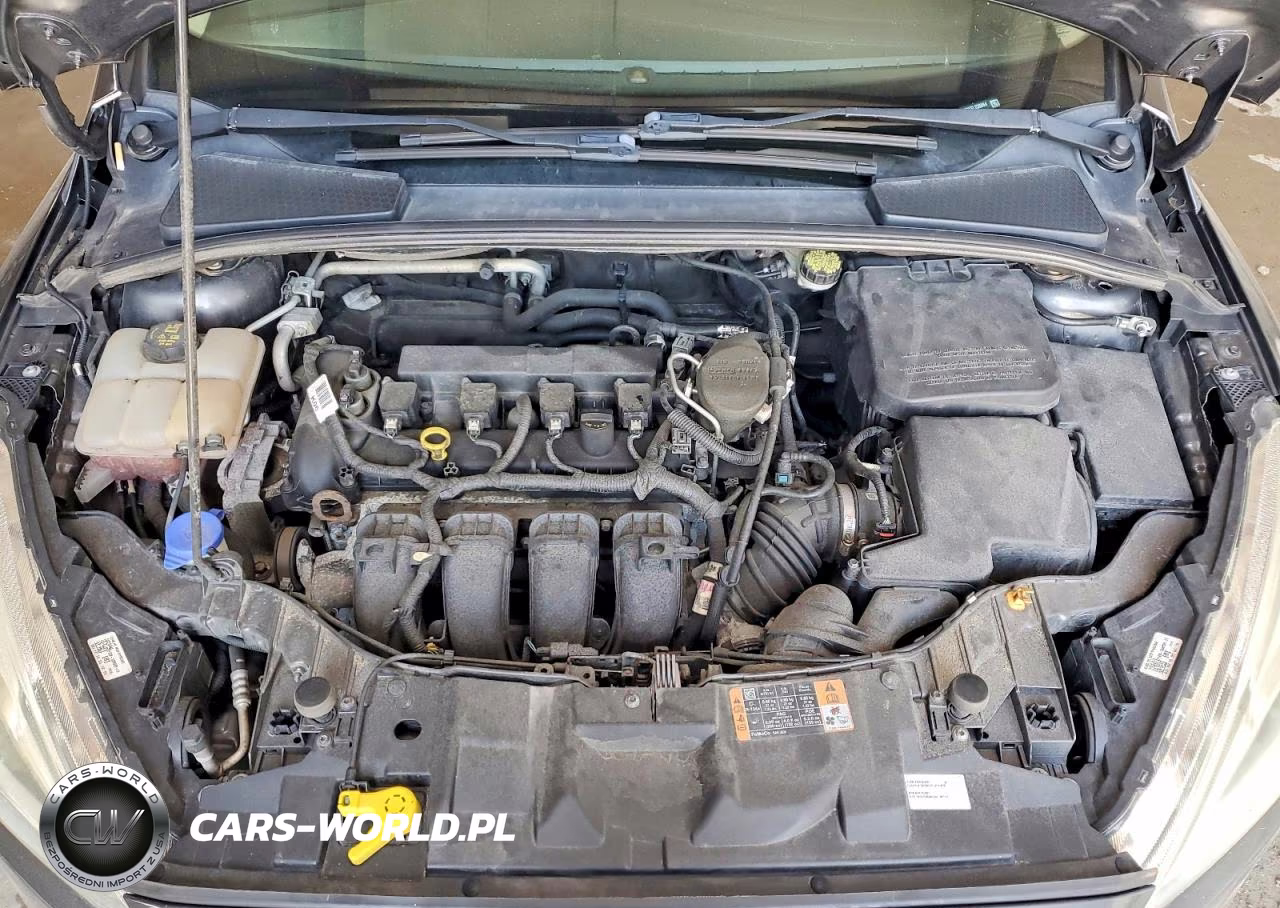 2015 Ford Focus Titanium VIN:1FADP3N2XFL238864 - 11