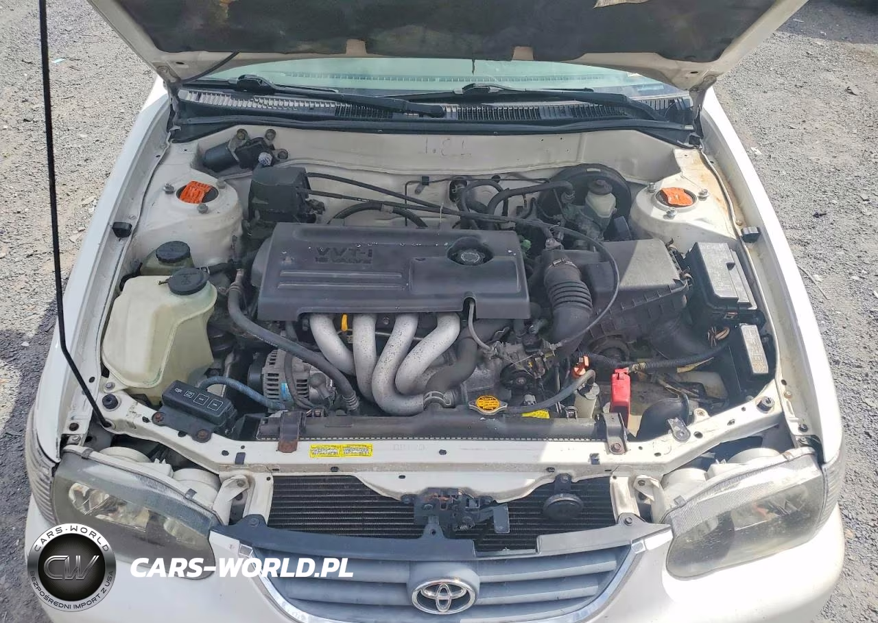 2002 Toyota Corolla Le VIN:2T1BR12E12C573060 - 11