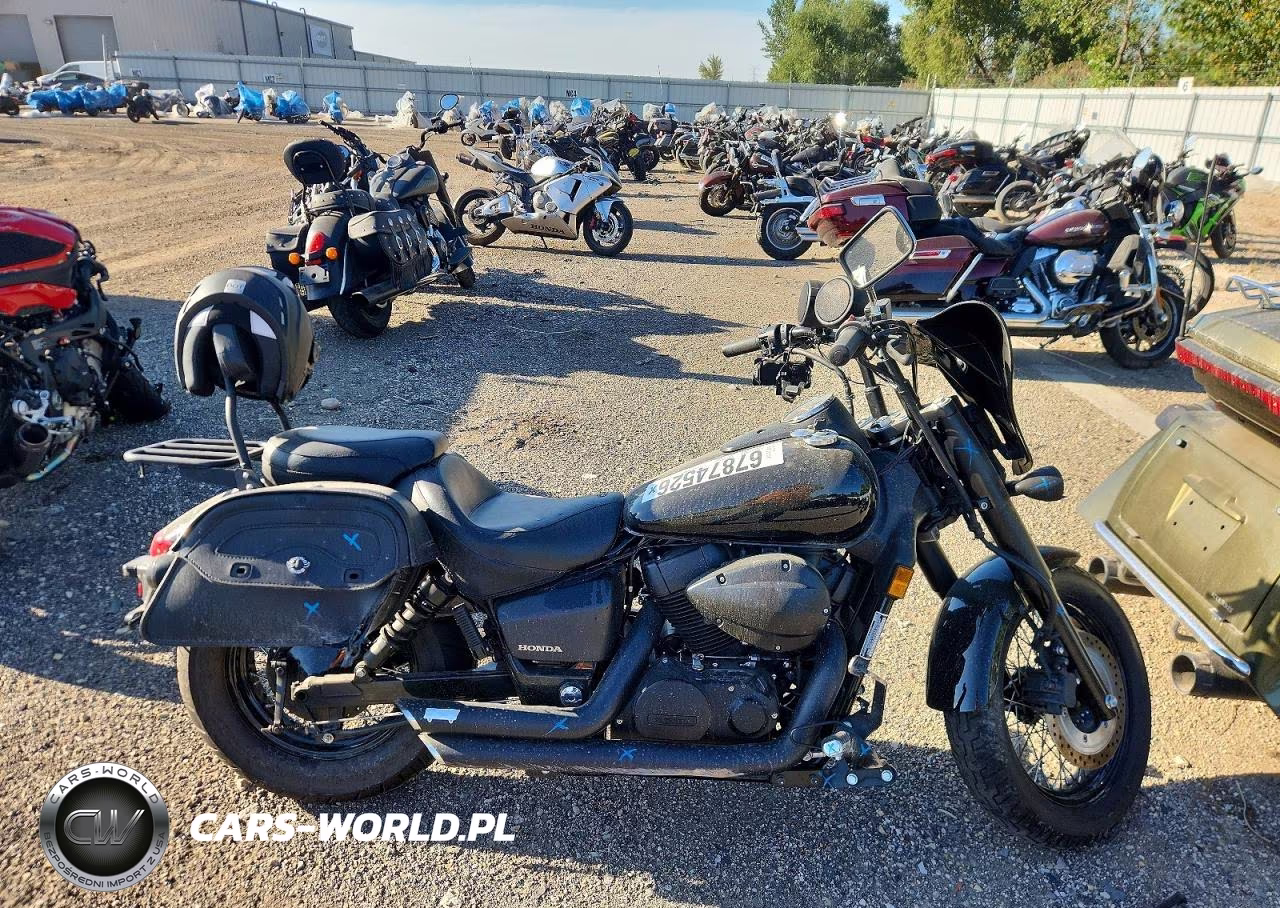 2020 Honda Vt750 C2B