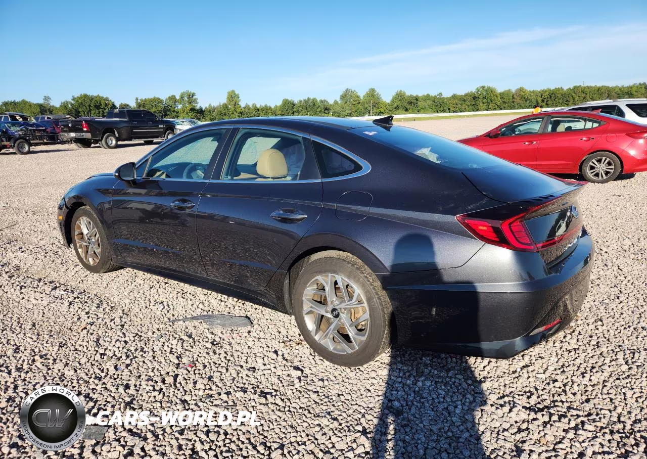 2020 Hyundai Sonata Sel VIN:5NPEF4JA0LH031601 - 2