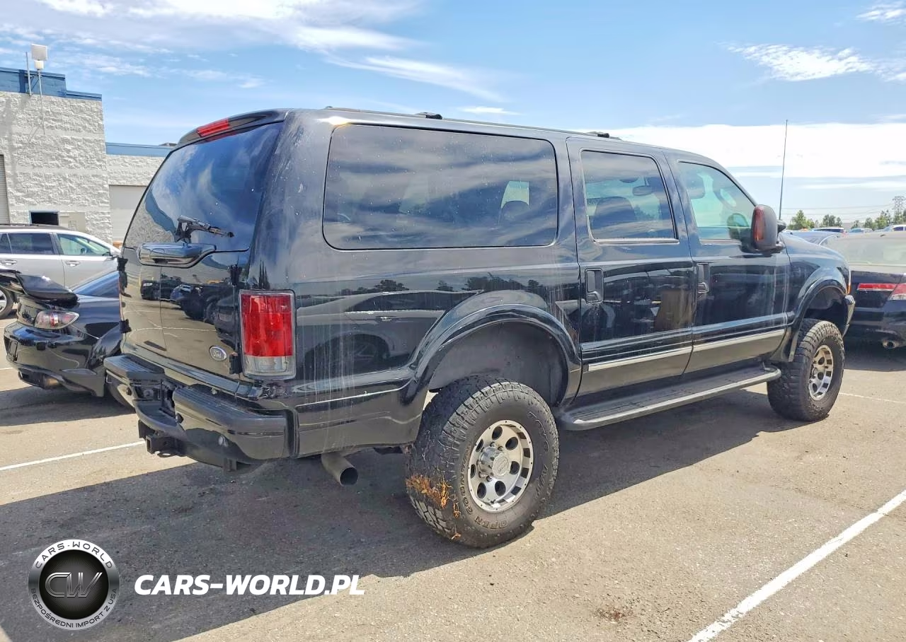 2003 Ford Excursion Limited VIN:1FMNU42P13ED54141 - 3
