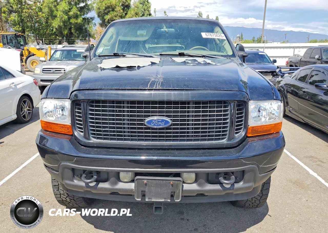 2003 Ford Excursion Limited VIN:1FMNU42P13ED54141 - 5