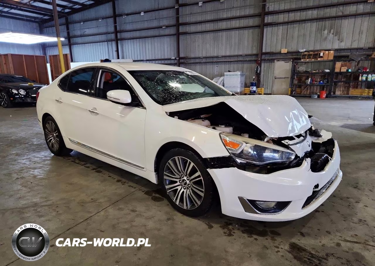 2014 Kia Cadenza Premium VIN:KNALN4D79E5138026 - 4