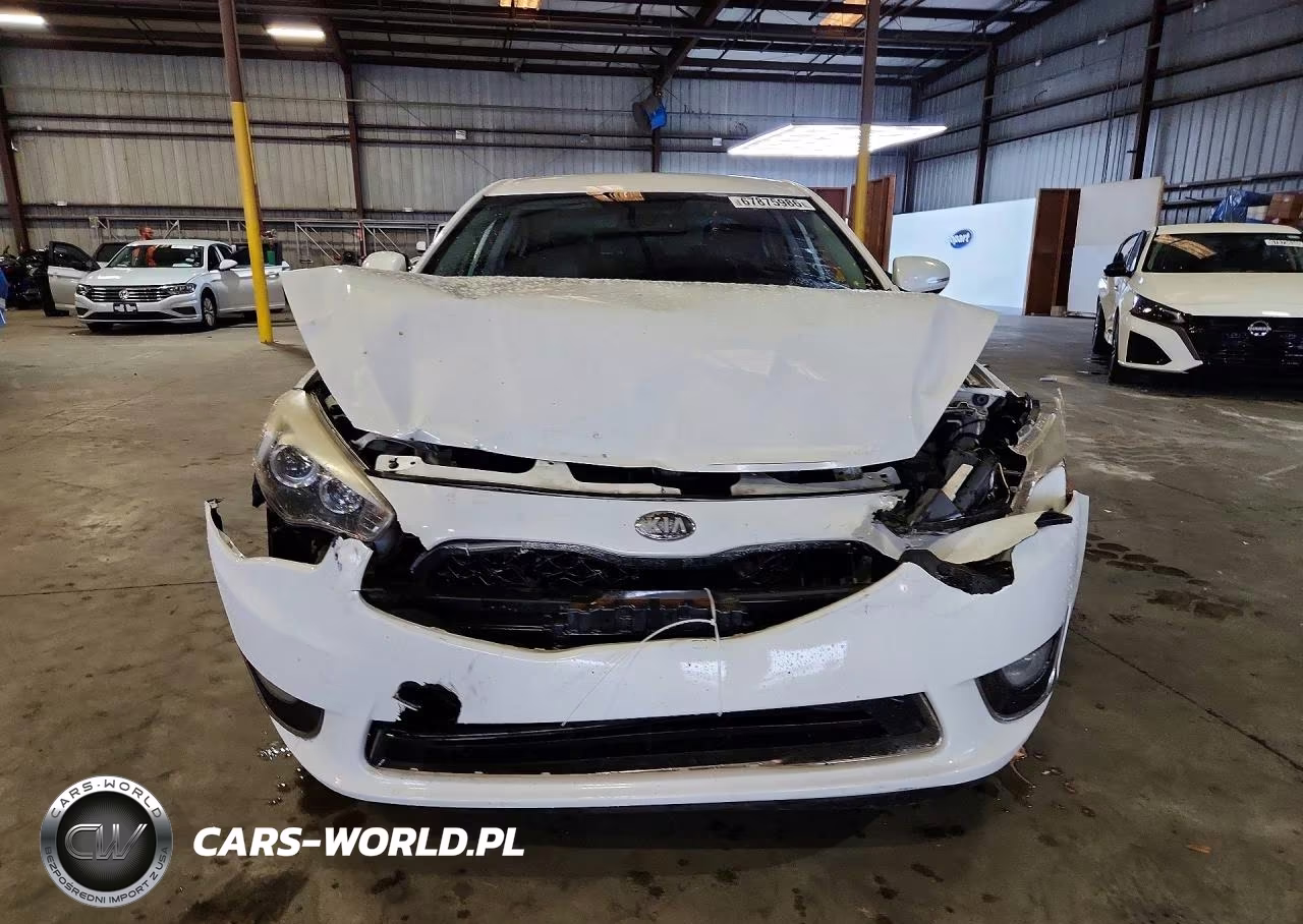 2014 Kia Cadenza Premium VIN:KNALN4D79E5138026 - 5