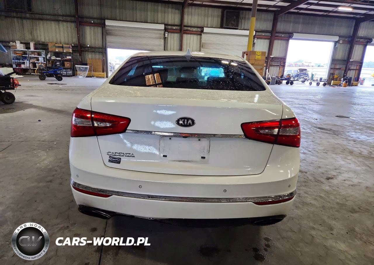 2014 Kia Cadenza Premium VIN:KNALN4D79E5138026 - 6