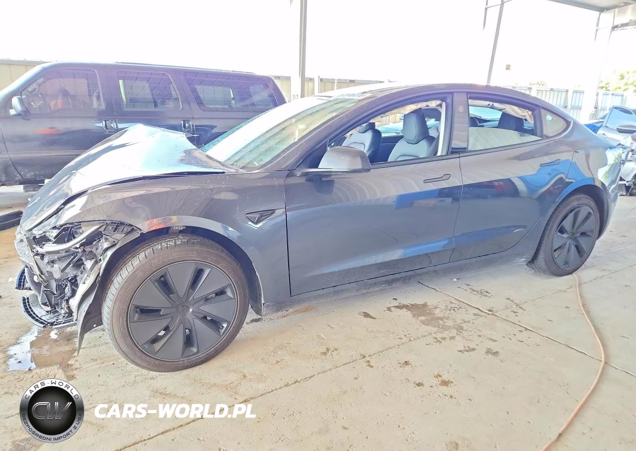 2025 Tesla Model 3 VIN:5YJ3E1EA8SF013671 - 1