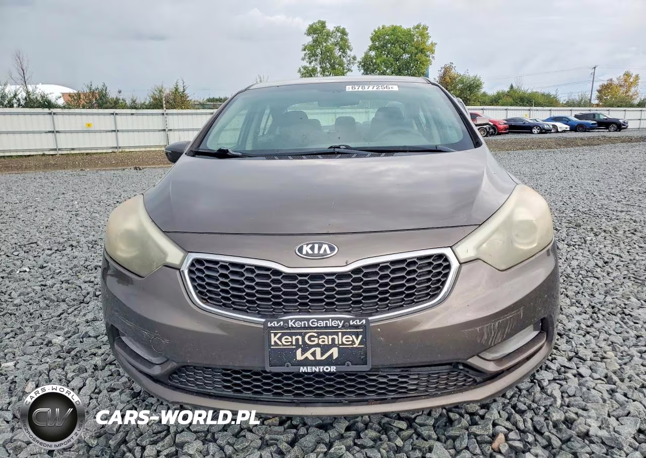 2015 Kia Forte Lx VIN:KNAFX4A65F5279812 - 5