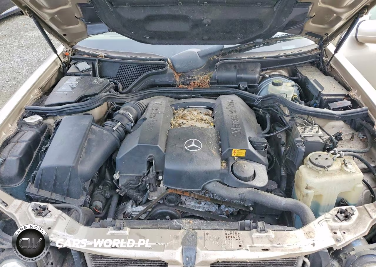 2001 Mercedes-Benz E 320 4Matic VIN:WDBJF82J11X061467 - 11