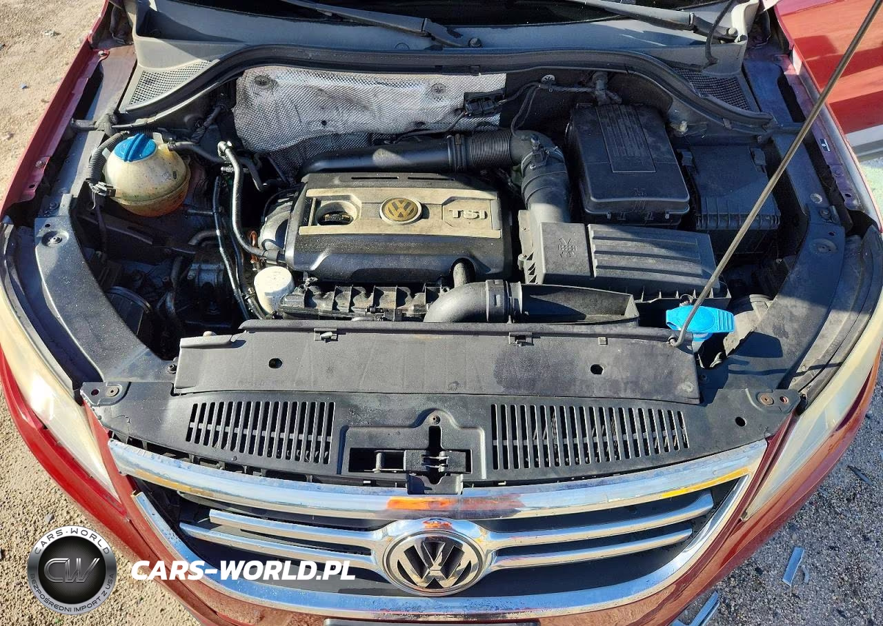 2010 Volkswagen Tiguan S VIN:WVGAV7AX4AW508802 - 12
