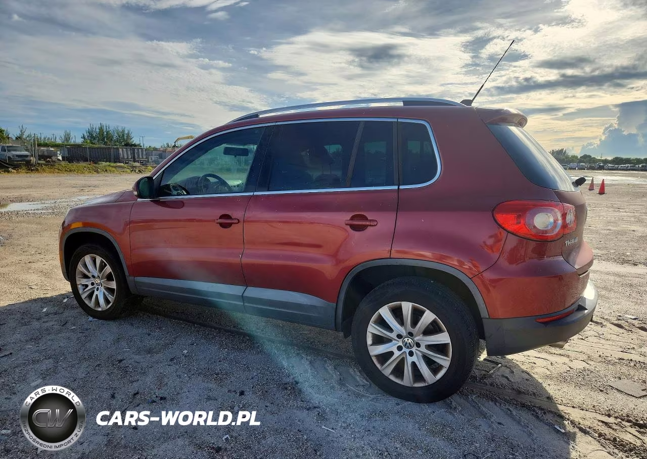 2010 Volkswagen Tiguan S VIN:WVGAV7AX4AW508802 - 2