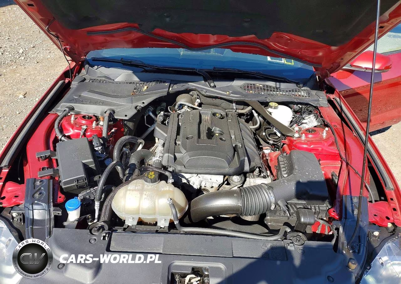 2020 Ford Mustang VIN:1FATP8UHXL5174615 - 11