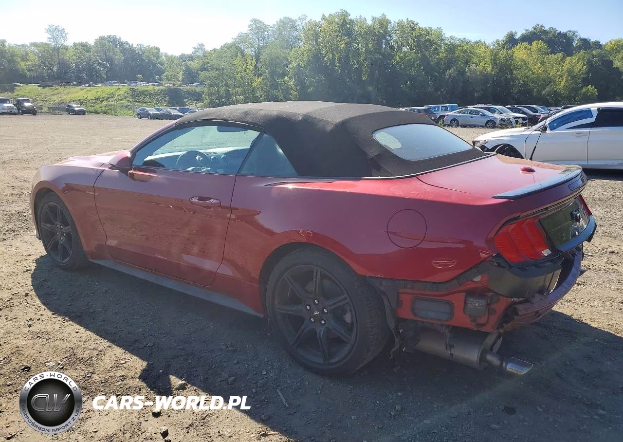 2020 Ford Mustang VIN:1FATP8UHXL5174615 - 2