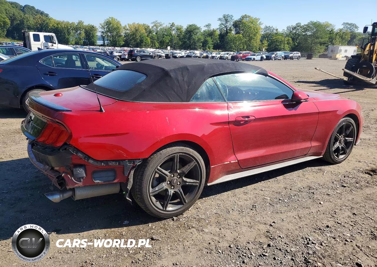 2020 Ford Mustang VIN:1FATP8UHXL5174615 - 3
