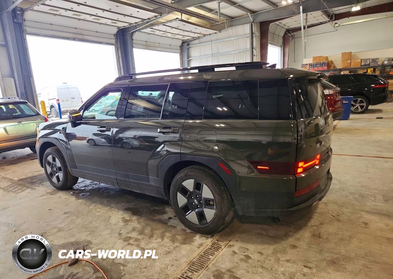 2024 Hyundai Santa Fe Sel VIN:5NMP2DG11RH001699 - 2