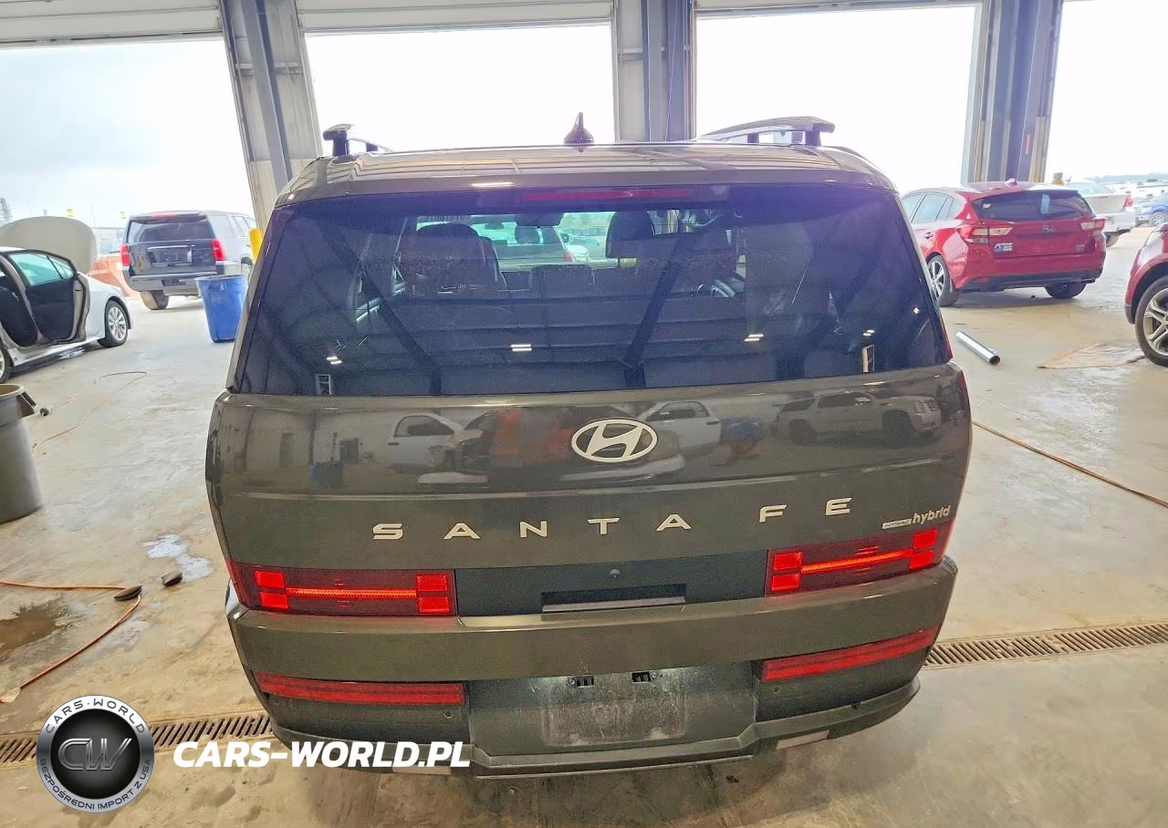 2024 Hyundai Santa Fe Sel VIN:5NMP2DG11RH001699 - 6