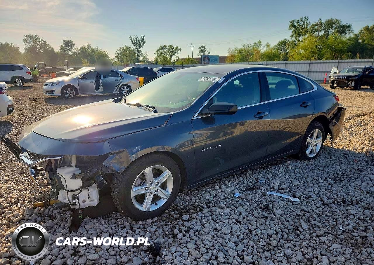 2019 Chevrolet Malibu Ls VIN:1G1ZB5ST2KF207195 - 1