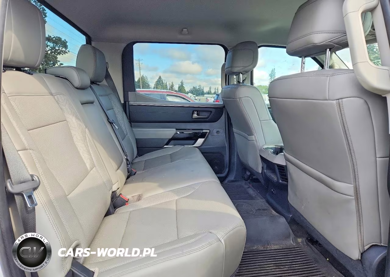 2023 Toyota Tundra Crewmax Limited VIN:5TFJA5DB6PX090234 - 10