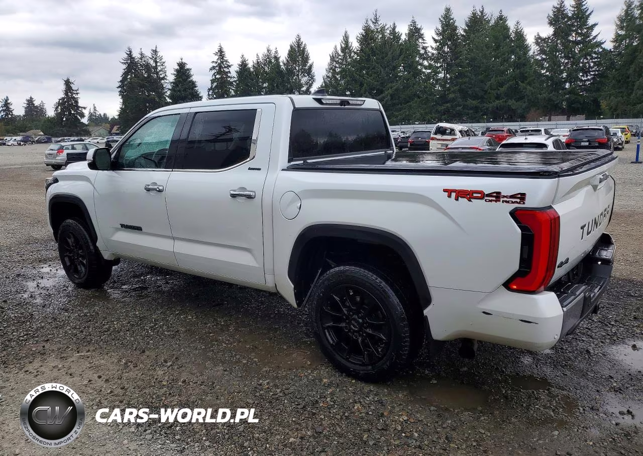 2023 Toyota Tundra Crewmax Limited VIN:5TFJA5DB6PX090234 - 2