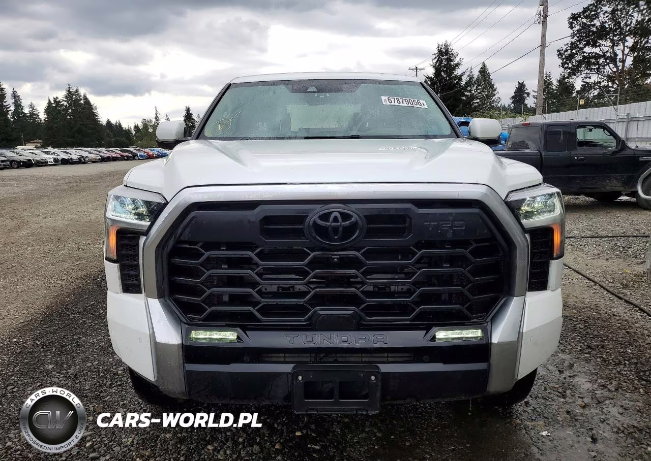 2023 Toyota Tundra Crewmax Limited VIN:5TFJA5DB6PX090234 - 5