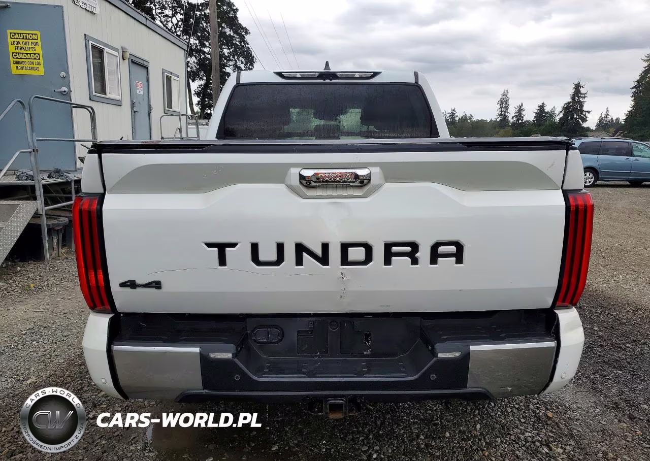 2023 Toyota Tundra Crewmax Limited VIN:5TFJA5DB6PX090234 - 6