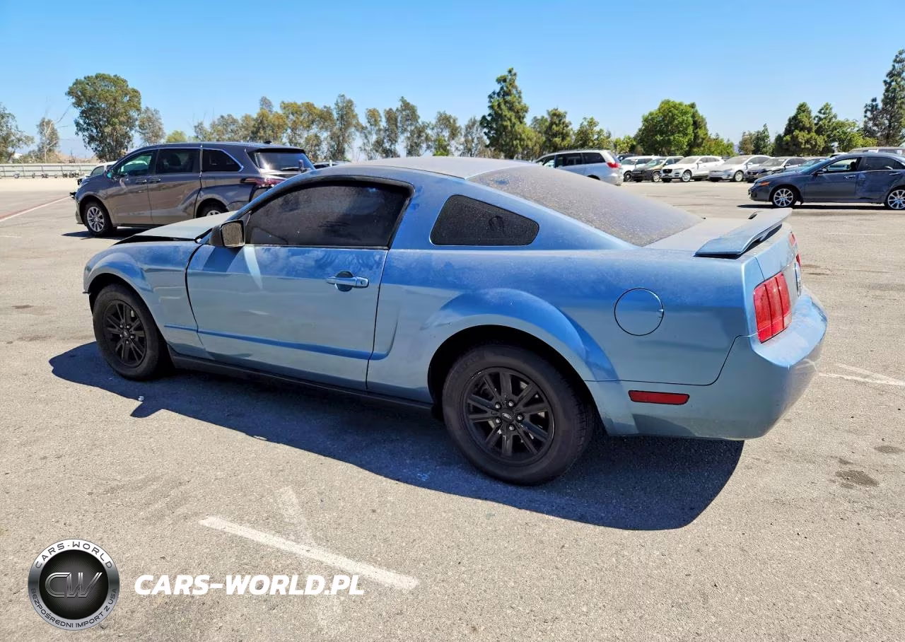 2005 Ford Mustang VIN:1ZVFT80N555107564 - 2