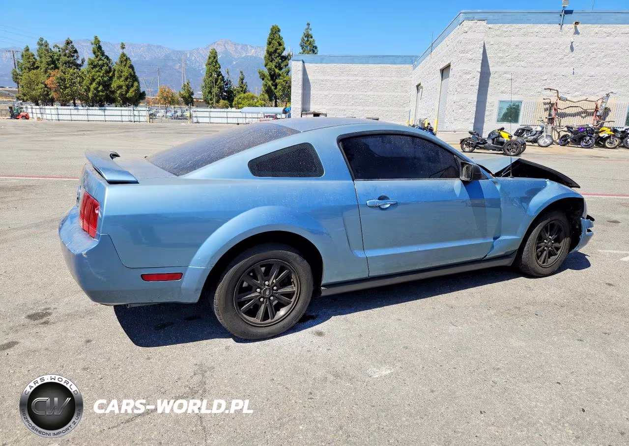2005 Ford Mustang VIN:1ZVFT80N555107564 - 3