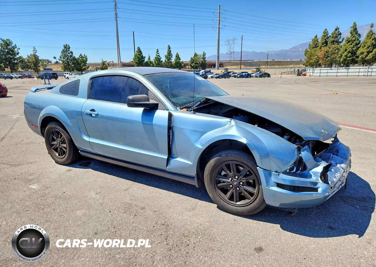 2005 Ford Mustang VIN:1ZVFT80N555107564 - 4