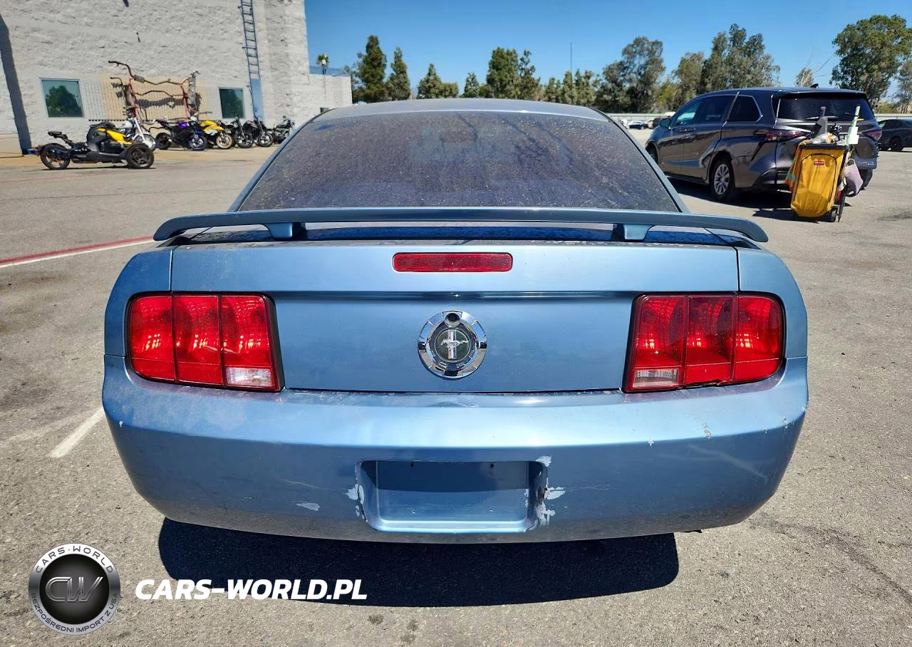 2005 Ford Mustang VIN:1ZVFT80N555107564 - 6