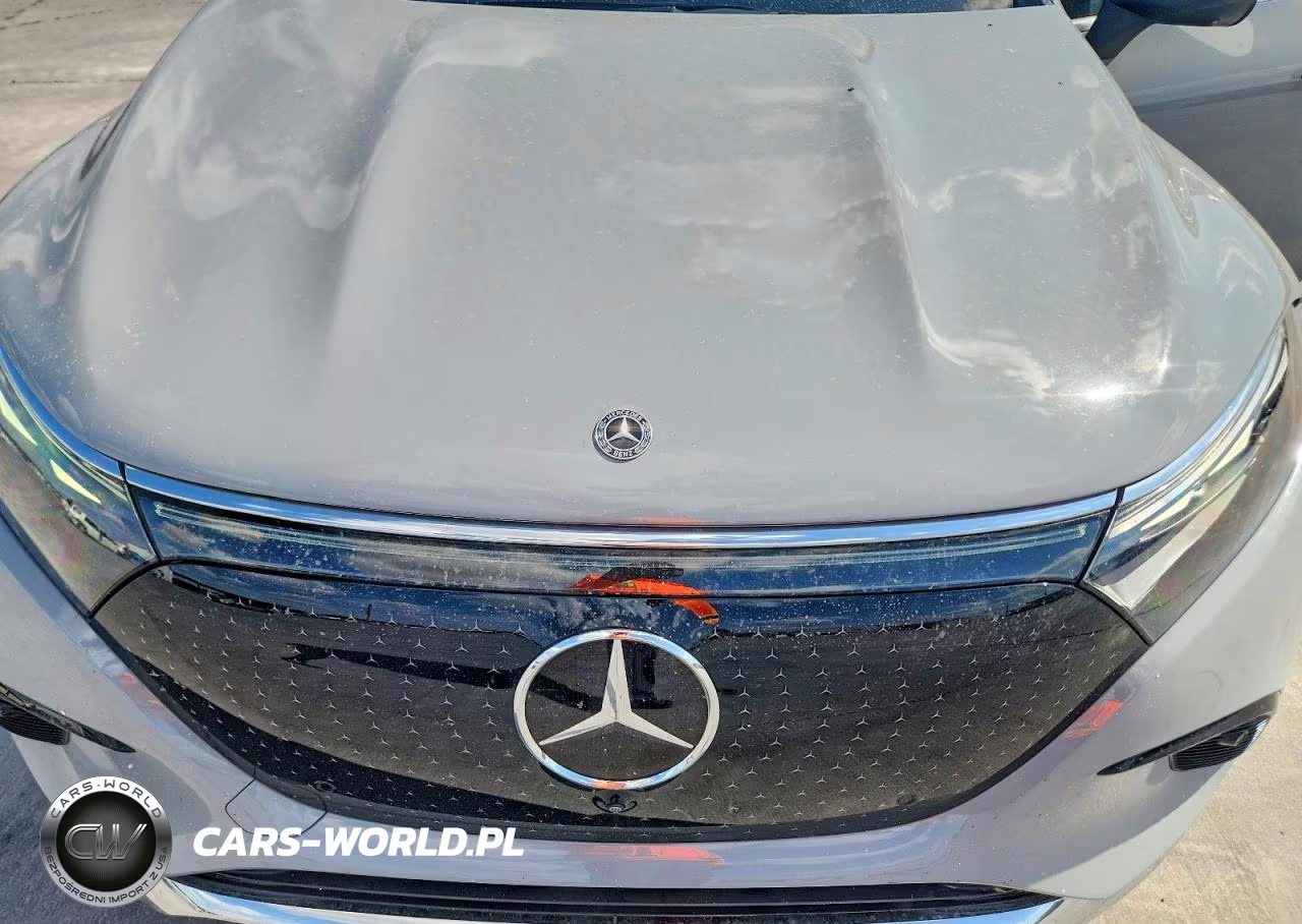2023 Mercedes-Benz Eqs Suv 450+ VIN:4JGDM2DB8PA016783 - 12