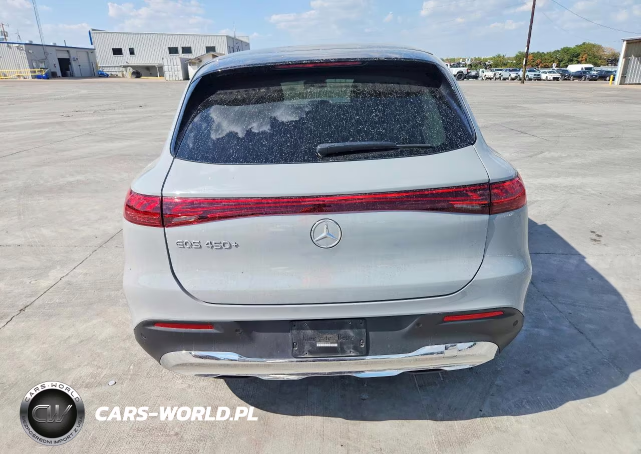 2023 Mercedes-Benz Eqs Suv 450+ VIN:4JGDM2DB8PA016783 - 6
